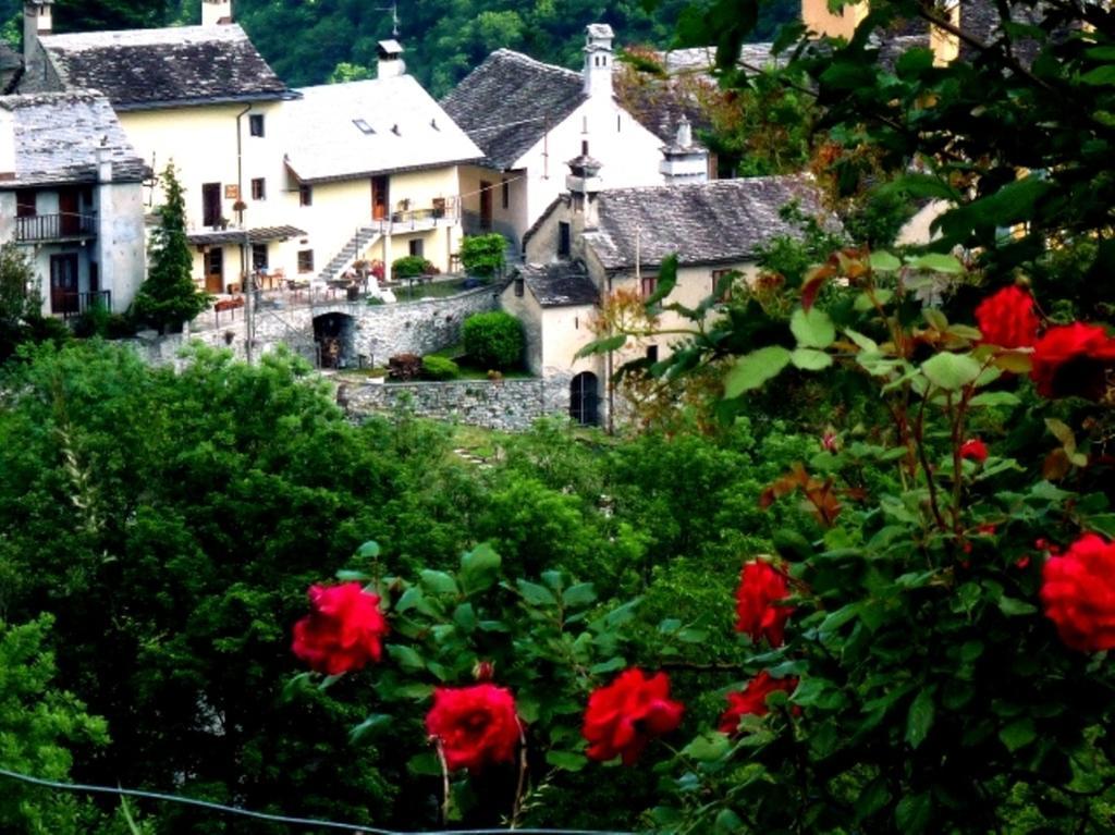 B&B Alpe Veglia Varzo Exteriér fotografie