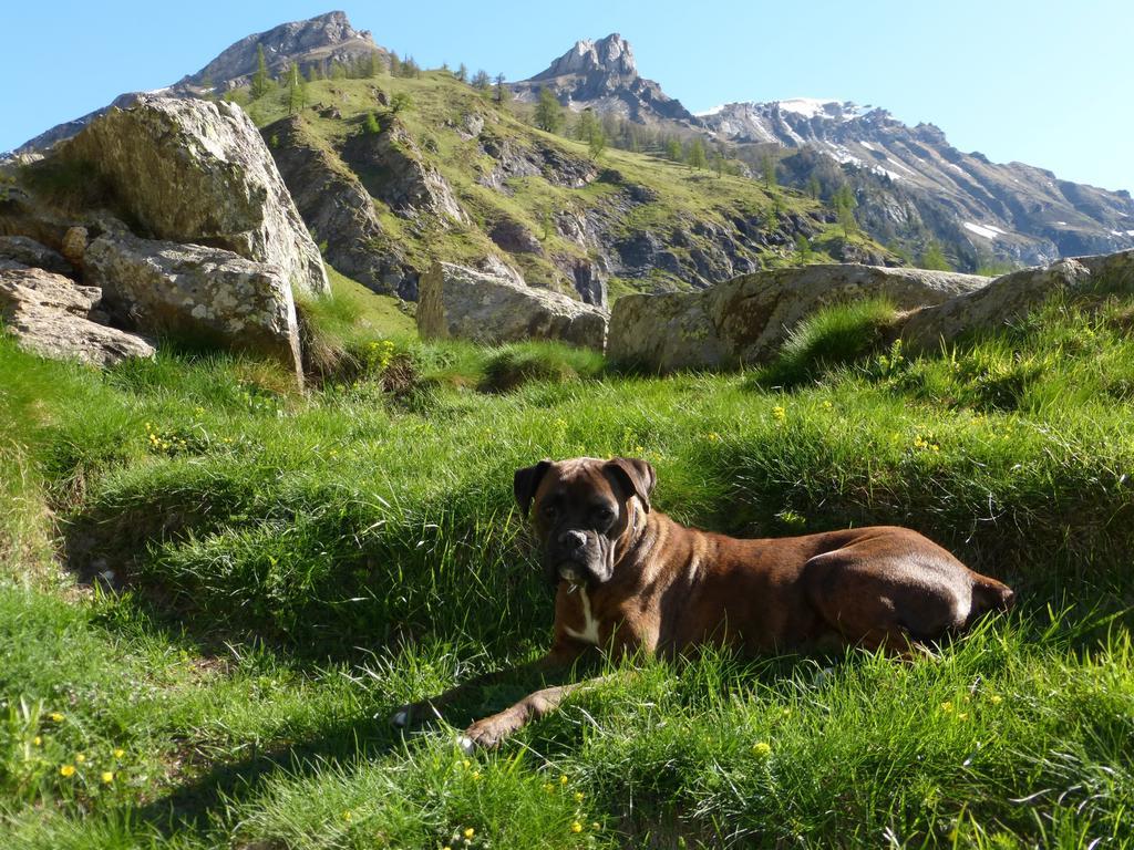 B&B Alpe Veglia Varzo Exteriér fotografie