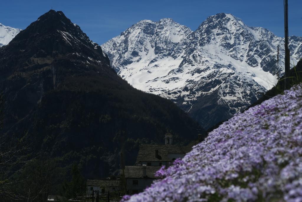 B&B Alpe Veglia Varzo Exteriér fotografie
