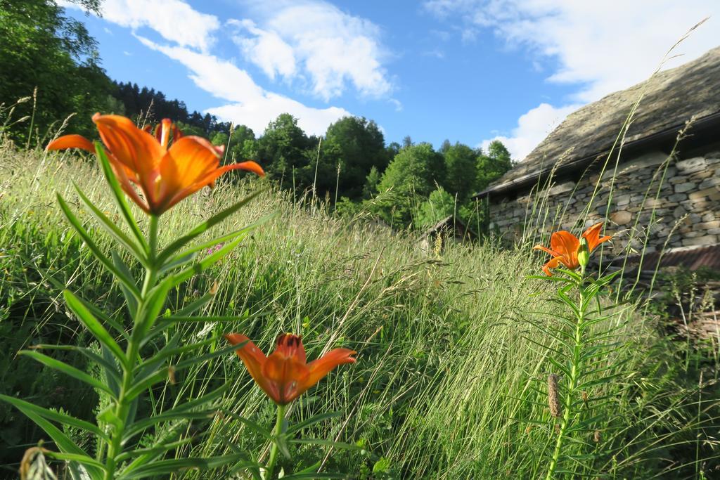 B&B Alpe Veglia Varzo Exteriér fotografie
