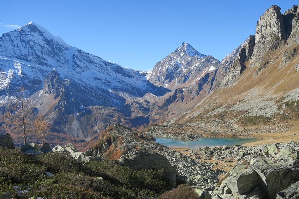 B&B Alpe Veglia Varzo Exteriér fotografie