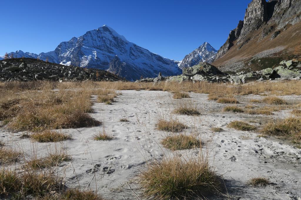 B&B Alpe Veglia Varzo Exteriér fotografie