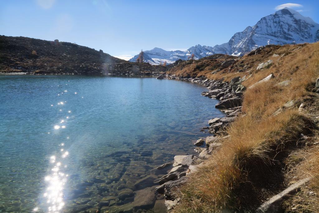 B&B Alpe Veglia Varzo Exteriér fotografie