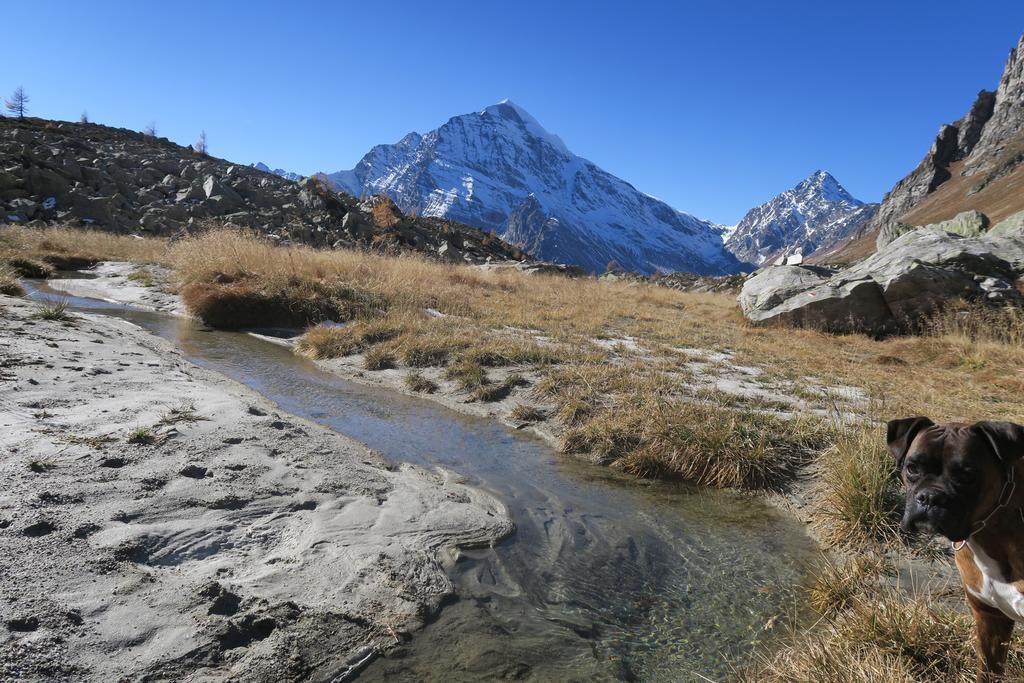 B&B Alpe Veglia Varzo Exteriér fotografie
