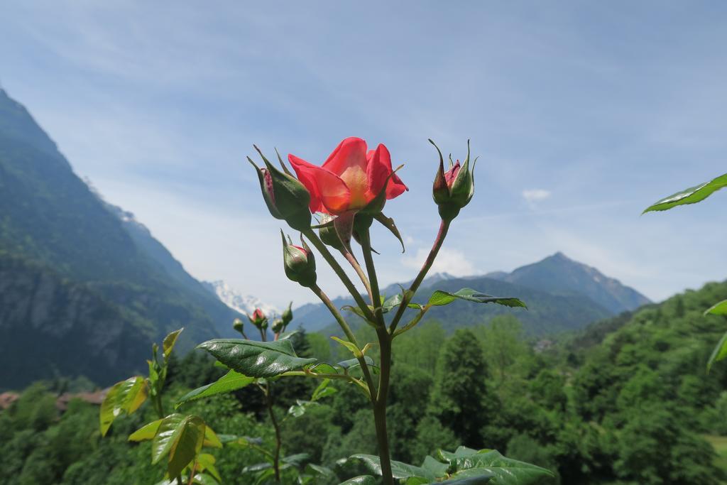 B&B Alpe Veglia Varzo Exteriér fotografie