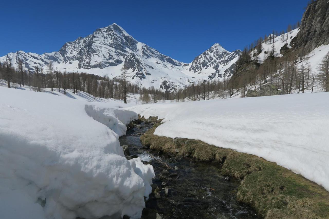 B&B Alpe Veglia Varzo Exteriér fotografie